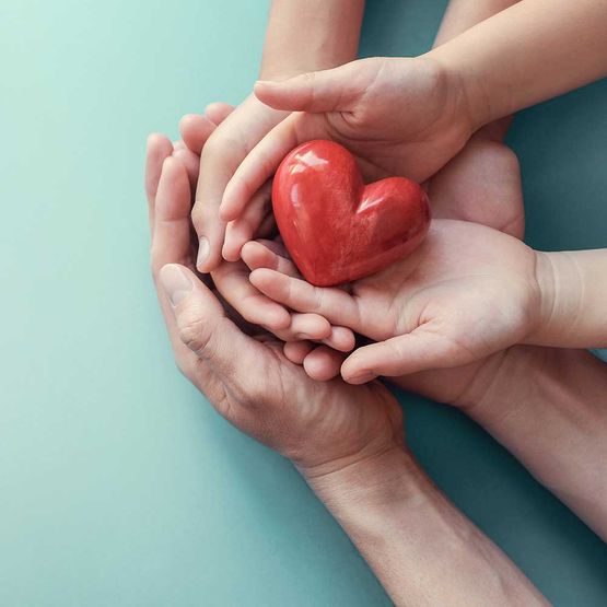 Familienhände halten rotes Herz, Herzkrankenversicherung, freiwillige Spende für wohltätige Zwecke, CSR-Verantwortung